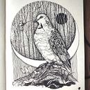 My project for course: Realistic Illustration of Birds with Imaginative Elements. Projekt z dziedziny R, sunek ołówkiem,  R, sunek,  R, sunek atramentem, Ilustracja naturalist i czna użytkownika Olena Andrushchenko - 04.04.2024