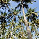 Zanzibar trip . Fotografie de Simona Fenichiu - 03.10.2023