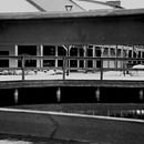 Mój projekt z kursu: Wprowadzenie do fotografii analogowej -wiosenny spacer. Un progetto di Fotografia e Fotografia analogica di Kaja Szymańska - 04.04.2024