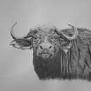 Beasts. Un projet de Dessin réaliste de Mitchell Kelly - 04.04.2024