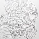 Line drawing of a prayer plant. Un progetto di Illustrazione tradizionale di Claudia Smaletz - 04.04.2024