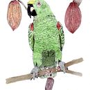 Mi proyecto del curso: Ilustración naturalista con bolígrafo. Un proyecto de Ilustración tradicional, Dibujo, Dibujo realista e Ilustración naturalista				 de icanoplazas - 07.04.2024