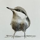 Mijn project van de cursus: Vogels illustreren met artistieke aquarel. Un progetto di Illustrazione tradizionale, Pittura ad acquerello, Disegno realistico e Illustrazione naturalistica di André Boontjes - 07.04.2024