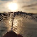 Mi proyecto del curso: Diario de poesía visual: narra con fotografía y versos. Un projet de Photographie de portrait, Photographie numérique, Photographie artistique, Photographie lifestyle , et Autoportrait photographique de Andrea James - 07.04.2024