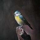 progetto del corso. Un progetto di Belle arti, Pittura, Pittura ad olio e Illustrazione naturalistica di Stef Jovi - 09.04.2024