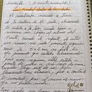 La ciudad dentro de los arboles. Projekt z dziedziny Pisanie użytkownika Ana Lya Viloria Labrador - 12.04.2024
