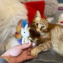 Mi proyecto del curso: Needle felting: creación de personajes con lana y aguja. Un proyecto de Artesanía, Diseño de juguetes, Needle felting y Diseño textil de M. Pilar GC - 12.04.2024