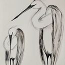 My project for course: Animal Illustration with Charcoal and Ink. Projekt z dziedziny  Sztuki piękne,  R, sunek,  R, sunek atramentem, Ilustracja naturalist i czna użytkownika jennifercossar - 12.04.2024