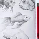 My project for course: Daily Sketching for Creative Inspiration Ein Projekt aus dem Bereich Traditionelle Illustration, Skizzenentwurf, Kreativität, Zeichnung und Sketchbook von S. Teabo - 13.04.2024