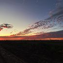 Introducción . Projekt z dziedziny Fotografia użytkownika Renzo Tortoni - 30.03.2024