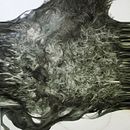 my artworks. Projekt z dziedziny Sitodruk,  R, sunek art, st, czn,  Dekoracja wnętrz, Design,  Sztuki piękne, Projektowanie graficzne,  Malarstwo, Projektowanie przestrzeni, Trad, c i jna ilustracja użytkownika Ma Ya - 15.04.2024