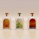 Changement de marque Chivas. Un projet de Br, ing et identité, Packaging, Design  , et 3D de evamolinaf - 15.04.2024