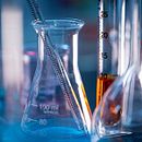 Novela en construcción, Crimen Inmortal.. Projekt z dziedziny Pisanie, Kreat, wność, Narracja, Beletr, st, ka, Kreat i wne pisanie użytkownika Paula Canales - 16.04.2024