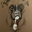 Portraits de chiens . Projekt z dziedziny Trad, c i jna ilustracja użytkownika elimauso - 17.04.2024