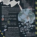 My project for course: Infographic Design: Combine Art and Data. Graphic Design, Information Design, Infographics, and Poster Design project by Agata Lanczek - 04.17.2024