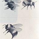 Bumble bees. Un proyecto de Ilustración tradicional de Sylvia Thorp - 17.04.2024