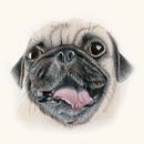 Retrato de Pugberto. Traditional illustration, Arts, Crafts, Drawing, Pencil Drawing, and Creativit project by Alexia Alonso - 04.18.2024