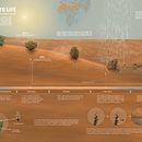 From death to life: Anastatica hierochuntica. Un progetto di Design dell’informazione, Postproduzione fotografica, Scultura, Infografica e Disegno di marupakasrisail - 20.03.2024