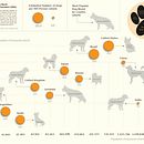 My project for course: Data Visualization and Information Design: Create a Visual Model. Projekt z dziedziny Projektowanie informacji, Projektowanie interakt, wne i Infografika użytkownika Kat G Opitz - 21.04.2024