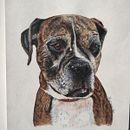 Mi proyecto del curso: Retratos de Mascotas en Lápices de Colores Ein Projekt aus dem Bereich Traditionelle Illustration, Naturalistische Illustration und Fotografie von Paty Sainz - 21.04.2024