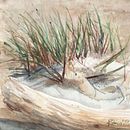 Sandy beach Ein Projekt aus dem Bereich Traditionelle Illustration und Aquarellmalerei von Maja Kubica - 21.04.2024