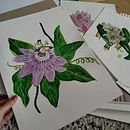 My project for course: Botanical Sketchbooking: A Meditative Approach. Projekt z dziedziny Trad, c, jna ilustracja, Sketching,  R, sunek, Malowanie akwarelą, R, sunek botaniczn i Sketchbook użytkownika Karin Goga - 21.04.2024
