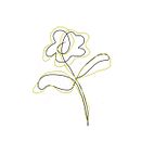Single stroke drawing. Un progetto di Design di coliebear16 - 20.04.2024