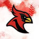 Cardenales de Lara - Re Branding Ein Projekt aus dem Bereich Br und ing und Identität von Luis Amaro - 26.07.2021