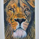 León  Ein Projekt aus dem Bereich Aquarellmalerei von Maite Dalmau - 24.04.2024