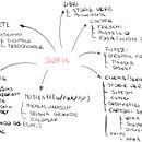 Il mio progetto del corso: Storytelling per Instagram: trova la tua voce. Projekt z dziedziny Br, ing i ident, fikacja wizualna, Marketing, Portale społecznościowe, Stor, telling, Marketing c, frow, Marketing mobiln, Instagram, Komunikacja, Marketing na Instagramie i Narracja użytkownika Sofia Caccia - 24.04.2024