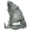 Bosques de mi mente Ein Projekt aus dem Bereich Zeichnung von Jhon Marín - 24.04.2024