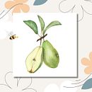 Mein Abschlussprojekt für den Kurs: Realistische botanische Illustration: Finde Zuflucht in der Natur Ein Projekt aus dem Bereich Traditionelle Illustration von Claudia Ligendza - 24.04.2024