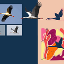 El sueño de la Cigüeña Ein Projekt aus dem Bereich Traditionelle Illustration, Erweiterungsentwicklung, Design von Garderoben, Musterdesign, Modedesign, Prägung und Textildruck von Marta Fernández - 18.04.2024