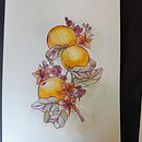 Mi proyecto del curso: Técnicas artísticas para ilustración naturalista. Een project van Traditionele illustratie,  Acr, lschilderij,  Botanische illustratie,  Illustratie met inkt, Tekenen met kleurpotloden y Aquarelschilderen van Flor Ampudia - 23.04.2024