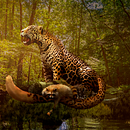 Meu projeto do curso: Fotomontagem e ilustrações fantásticas com Photoshop. Fotografia, Colagem, Retoque fotográfico, Ilustração digital, Composição fotográfica, e Fotomontagem projeto de Luiza Guadagnin - 10.05.2023