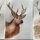 Mon projet du cours : Portraits expressifs d'animaux à l'aquarelle . % polinka_mn tarafından hazırlanan Geleneksel illüstras, on, Sulubo, a Resim, Gerçekçi Çizim, Doğalcı İllüstras, Ve on projesi - 04.29.2024