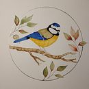 Blaumeise . Projekt z dziedziny Trad, c, jna ilustracja,  Malarstwo, Malowanie akwarelą, R, sunek botaniczn, Ilustracja naturalist, czna, Malarstwo dekorac i jne użytkownika Sabine Kindermann - 30.04.2024