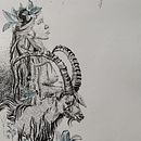My project for course: Artistic Drawing with Ink. Traditional illustration, Drawing, Artistic Drawing & Ink Illustration project by Zsofi - 05.03.2024