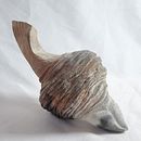 Fertility horn. Projekt z dziedziny Ceramika i Rzeźba użytkownika Barbara LaPoint Stelzer - 03.05.2024