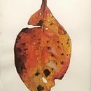 Mi proyecto del curso: Ilustración botánica con acuarela. Un proyecto de Ilustración tradicional, Bellas Artes, Pintura, Dibujo, Pintura a la acuarela e Ilustración botánica de Diego Enríquez Rojas - 04.05.2024