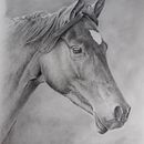 Mon projet du cours : Images réalistes de la faune au crayon graphite Ein Projekt aus dem Bereich Bildende Künste, Bleistiftzeichnung, Zeichnung, Realistische Zeichnung und Naturalistische Illustration von alain Masset - 04.05.2024