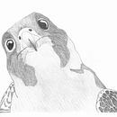 Peregrine Falcon. Projekt z dziedziny Trad, c, jna ilustracja, R, sunek ołówkiem,  R, sunek, Ilustracja naturalist i czna użytkownika Michelle Wruck - 29.04.2024