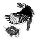 Digital Black and White Birds. Projekt z dziedziny Ilustracja c i frowa użytkownika Michelle Wruck - 04.05.2024
