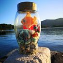 My project for course: Crochet Techniques for Sea Life and Animals. Un projet de Création d'accessoires, Artisanat, Art textile, Crochet , et Design textile de Suzana Baar - 05.05.2024