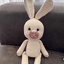 Mi proyecto del curso: Amigurumis de animales con crochet. Design de brinquedos, Tecido, DIY, Crochê, Amigurumi, e Design têxtil projeto de Cristina Petrus - 09.05.2024