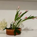 My project for course: Ikebana: flower arrangement for beginners. Un projet de Design d'intérieur, Décoration, Décoration d'intérieur , et Art floral et végétal de Pegah Khabazi - 01.05.2024