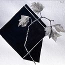 My project for course: Contemporary Botanical Illustration with Ink. Un proyecto de Ilustración tradicional, Dibujo artístico, Ilustración botánica e Ilustración con tinta de horsenettle - 12.05.2024