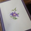 la naturaleza en tinta y acuarela. Botanical Illustration project by alejandra sackmann - 05.15.2024