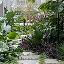 Jardim arins. Un proyecto de Paisajismo de Laura Rotter - 16.05.2024
