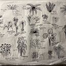 Sketches . Un proyecto de Paisajismo de Laura Rotter - 16.05.2024